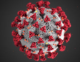 LLUH Coronavirus (COVID-19) Updates